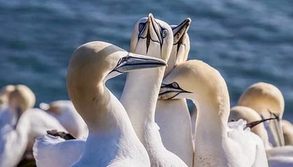 温州最新的高价医保个人账户余额微信查询方法分享(温州医保查询个人账户明细怎么查微信教程)