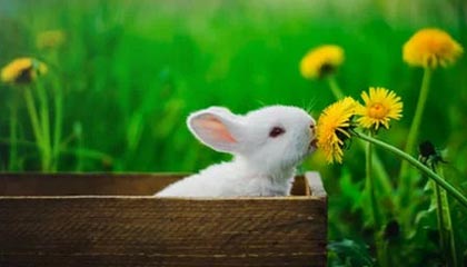 温州最新的高价医保卡惠民保险代扣怎么取消掉了方法分享(温州惠民医保怎么报销教程)